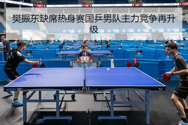 樊振东缺席热身赛国乒男队主力竞争再升级